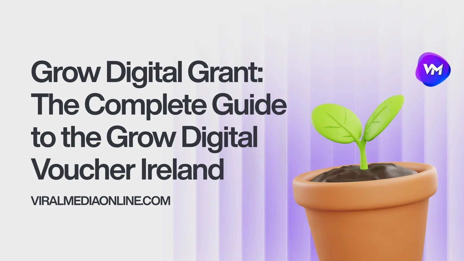 Grow Digital Grant: The Complete Guide to the Grow Digital Voucher Ireland