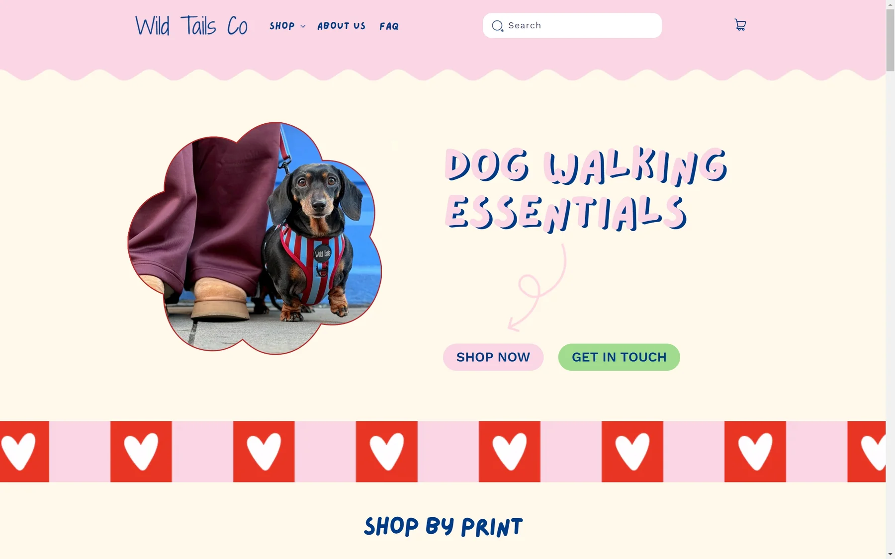 Wild Tails Co. — case study